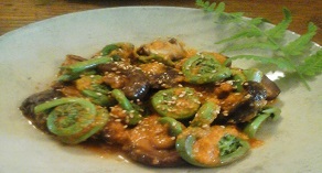 jap-fiddlehead-2 jap-fiddlehead-2
